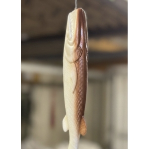CF Pearl Copper