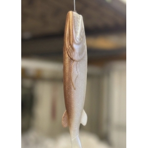 CF Pearl Bronze