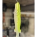CF Fluro Yellow